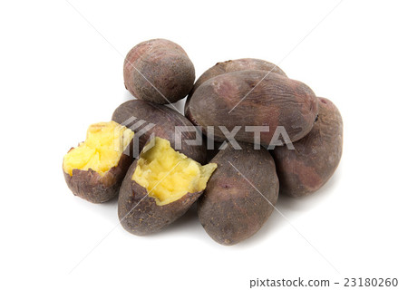 Ground Petitka 23180260