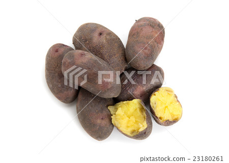 Ground Petitka 23180261