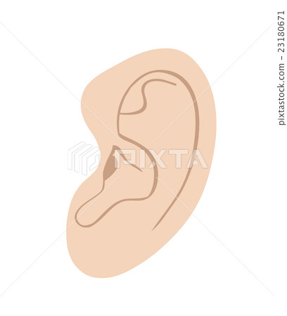 Illustration of ears _ skin color 23180671