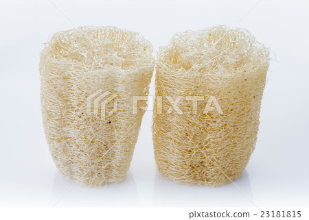 Luffa, loofa natural vegetable fiber for body Luffa, loofa natural vegetable fiber for body 23181815