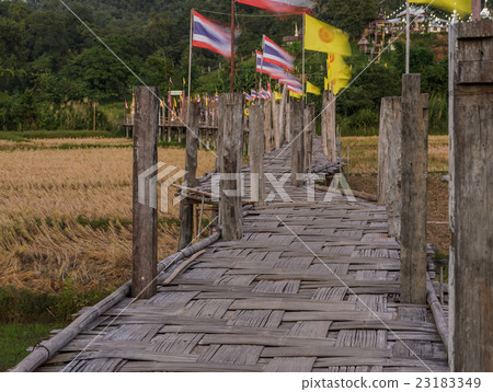 Bamboo bridge pass rice field to the temple Bamboo bridge pass rice field to the temple 23183349