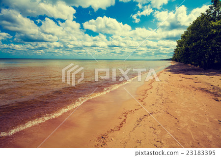 Baltic sea coast. Deserted wild beach 23183395