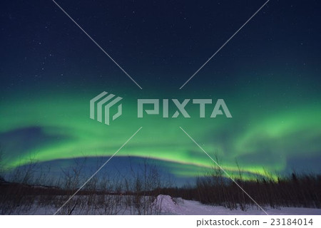  極光 23184014