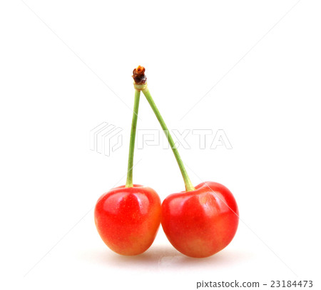Sweet cherry isolated on white 23184473