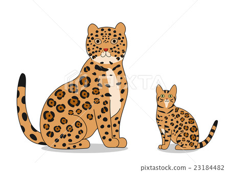 美洲虎和孟加拉 23184482