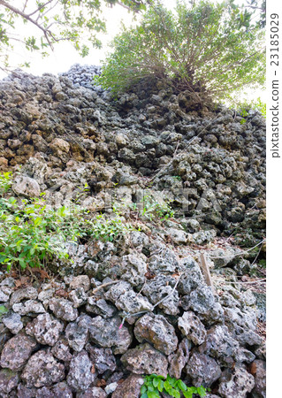 Kuroshima, the stone wall of Puzzari Kuroshima, the stone wall of Puzzari 23185029
