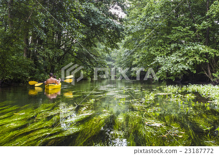 Kayaking on the Rospuda river, Poland 23187772