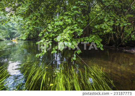 Kayaking on the Rospuda river, Poland 23187773