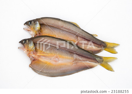 Dried sweetfish 23188255