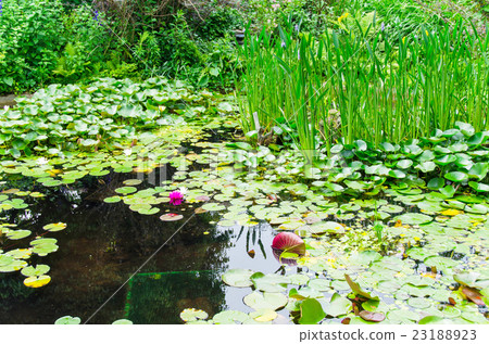 生活小區 23188923