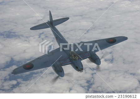 Mosquito (model composite photo) 23190612