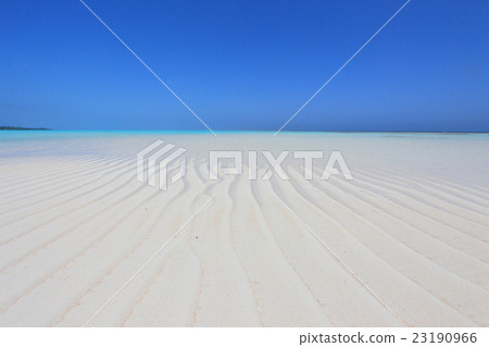 Yoronhama，Yoron Island 23190966