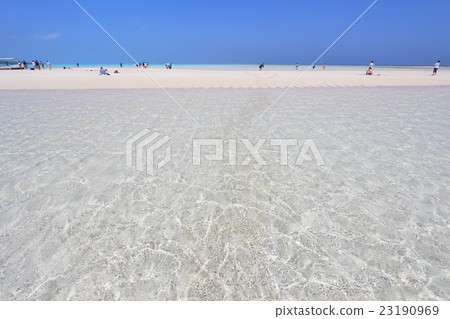 Yoronhama，Yoron Island 23190969