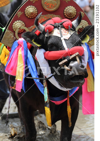 Country designation Important intangible folk cultural asset Aki's Hayashida Harada's Hayashida decorative cattle 23191102