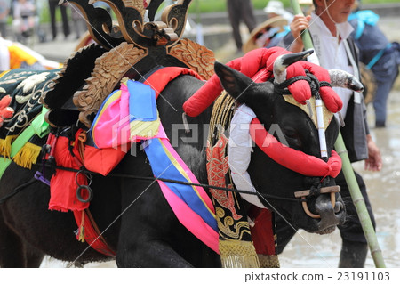 Country designation Important intangible folk cultural asset Aki's Hayashida Harada's Hayashida decorative cattle 23191103