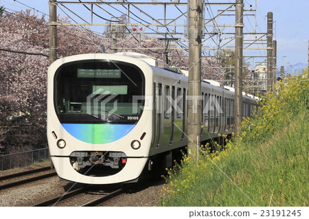 Cherry blossom trees and Seibu Shinjuku Line 30000 series train Cherry blossom trees and Seibu Shinjuku Line 30000 series train 23191245