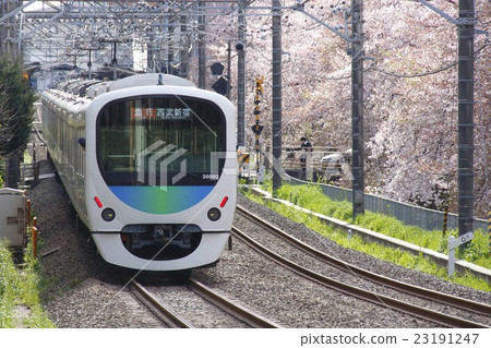 Cherry blossom trees and the Seibu Shinjuku Line 30000 series train (express train - 10 cars: bound for Seibu Shinjuku) 23191247