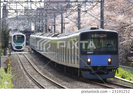 Row of cherry trees and Seibu Shinjuku Line 20000 series (10-car train at each stop: Seibu Shinjuku ⇔ Tanashi) 23191252