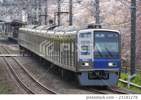 [SS] 西武新宿線 6000 系列列車（準急行：西武新宿⇔灰島） 23191278