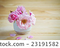 Pink roses in a vase on the table. 23191582