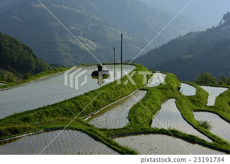 Rice terrace of Hachiyo in Ootake Town, Kochi prefecture Rice terrace of Hachiyo in Ootake Town, Kochi prefecture 23191784