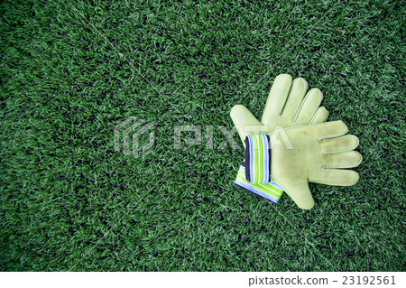 Goalkeeper Gloves 23192561
