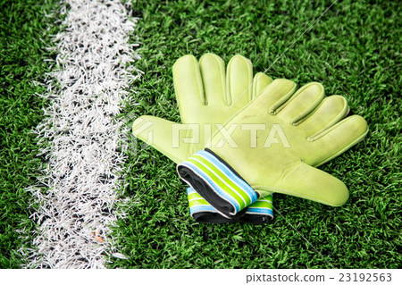 Goalkeeper Gloves 23192563