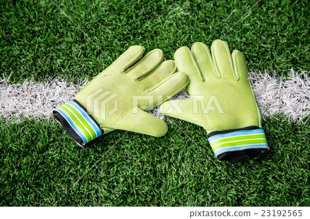 Goalkeeper Gloves 23192565