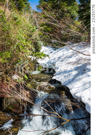 Oze國家公園竹森林公路（Ueda寺廟〜在Tenjin Tashiro附近）射擊2016年5月 23193776