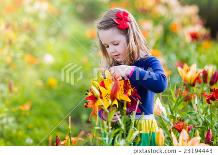 Little girl picking lilly flowers Little girl picking lilly flowers 23194443