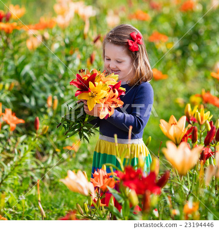 Little girl picking lilly flowers 23194446
