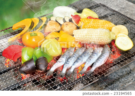 barbecue    23194565