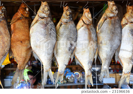 Bream river fish 23196636