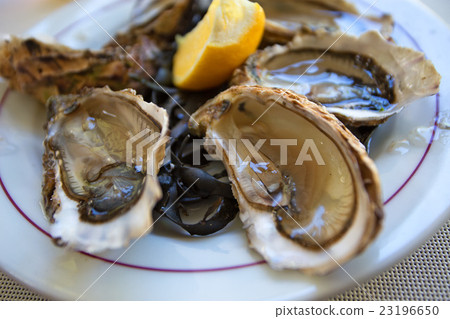 Fresh juicy oysters with lemon Fresh juicy oysters with lemon 23196650