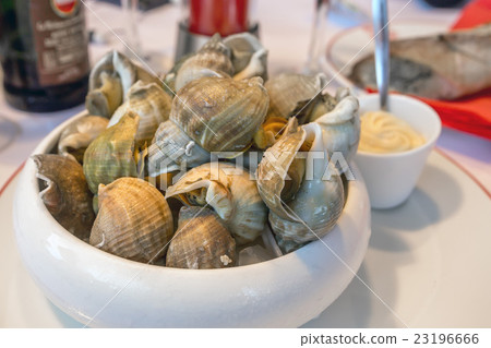 Closeup clams in dish Closeup clams in dish 23196666