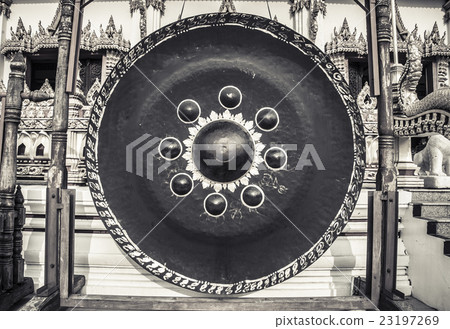 gong gong 23197269