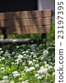 Park flowers and benches 23197395