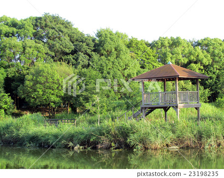 Photo material: Forest Park 23198235