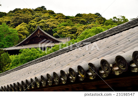 Hase Temple 23198547