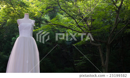 婚紗和高原 婚紗和高原 23199382