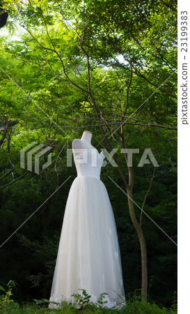 婚紗和高原 婚紗和高原 23199383