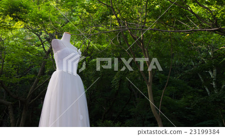 婚紗和高原 婚紗和高原 23199384