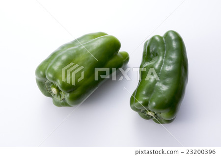 青椒 23200396