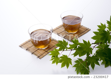 楓樹和大麥茶 楓樹和大麥茶 23200417