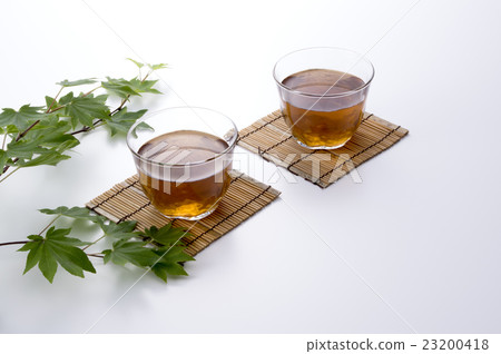 楓樹和大麥茶 楓樹和大麥茶 23200418