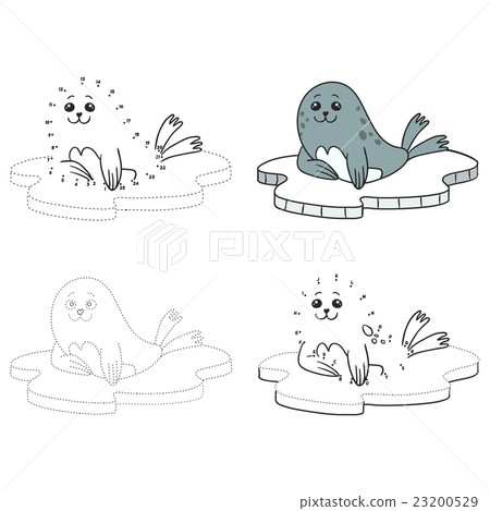 fur seal 23200529