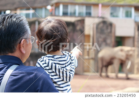 Grandpa and grandchild (1 year 5 months) Grandpa and grandchild (1 year 5 months) 23205450