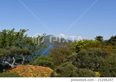Mt. Fuji from the Present Park Mt. Fuji from the Present Park 23206287