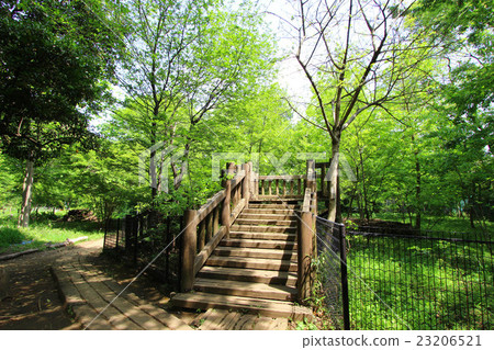 Komabano Park 23206521