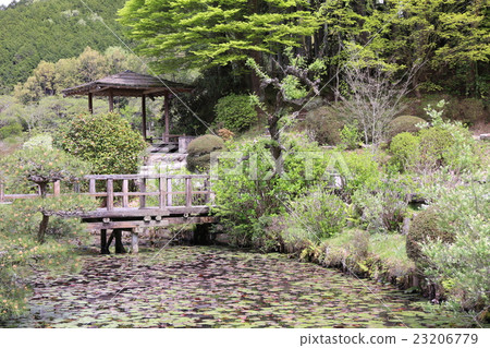 Takiya Hana Shobuen花園 23206779